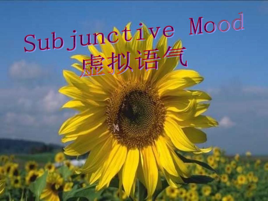 高中英语 虚拟语气精品课件 新人教版选修7_第1页