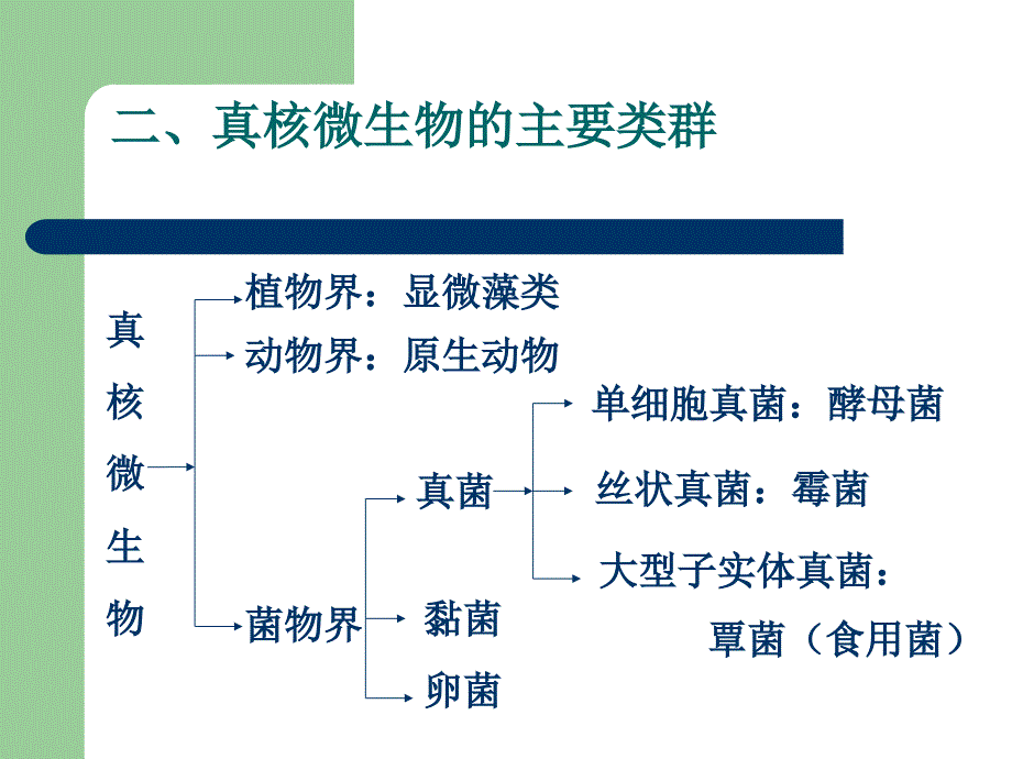 《真核微生物已修改》PPT课件_第4页