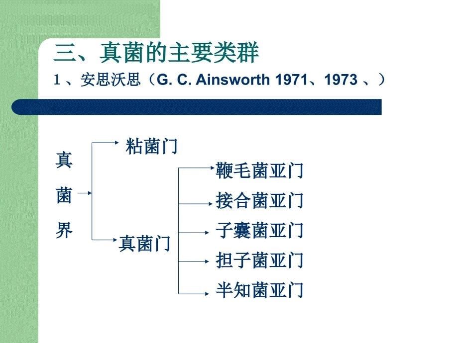 《真核微生物已修改》PPT课件_第5页