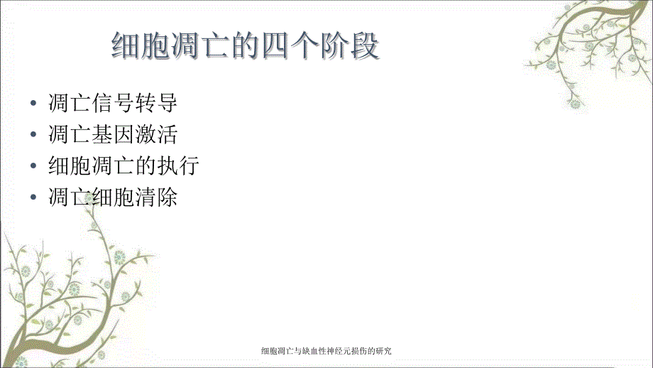 细胞凋亡与缺血性神经元损伤的研究_第3页