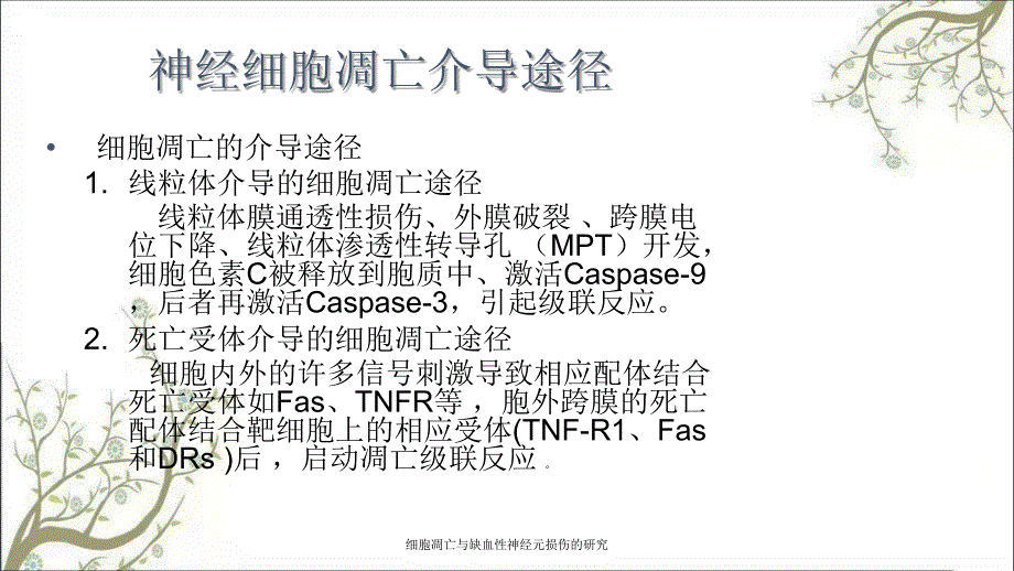 细胞凋亡与缺血性神经元损伤的研究_第4页