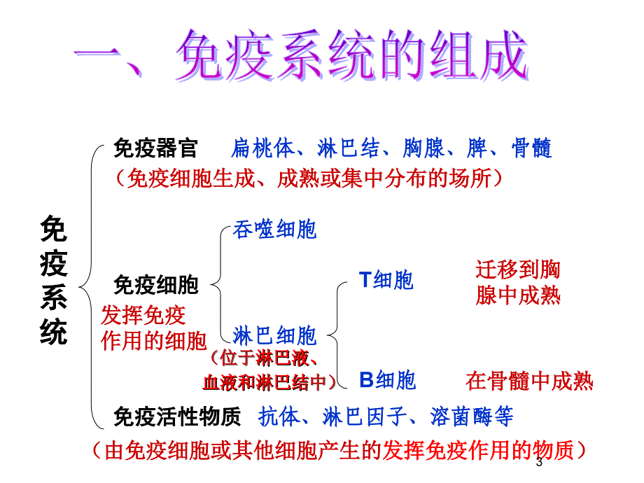 生物必修三第二章第四节免疫调节上课用_第3页