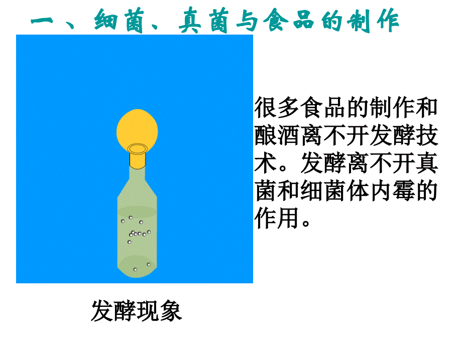 第五节人类对细菌和真菌的利用课件(人教版八年级上).ppt_第3页