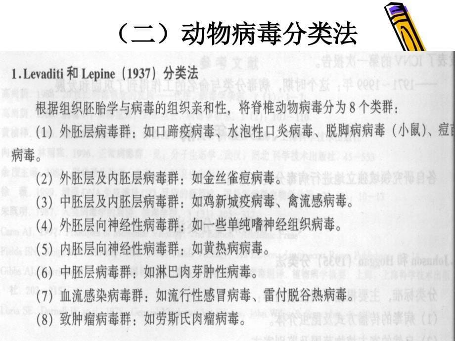 病毒学第三章病毒的分类与命名_第5页