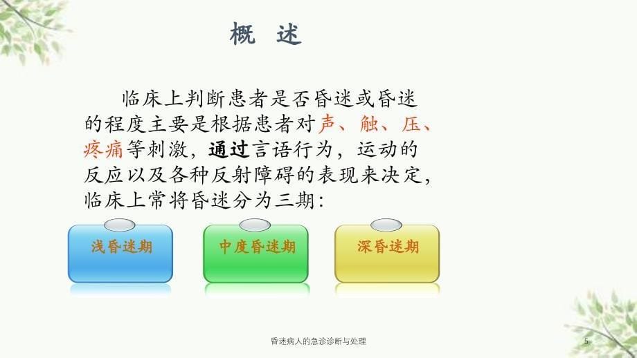 昏迷病人的急诊诊断与处理课件_第5页