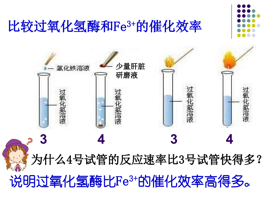 第2课时酶的特性_第4页