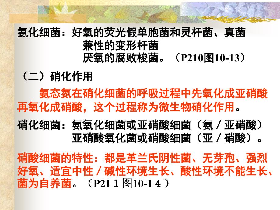 水处理生物学(12)电子教案_第3页