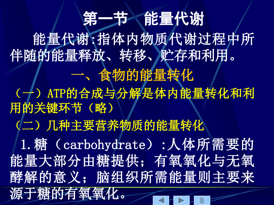 生理学教学课件：第七章 能量代谢与体温_第2页