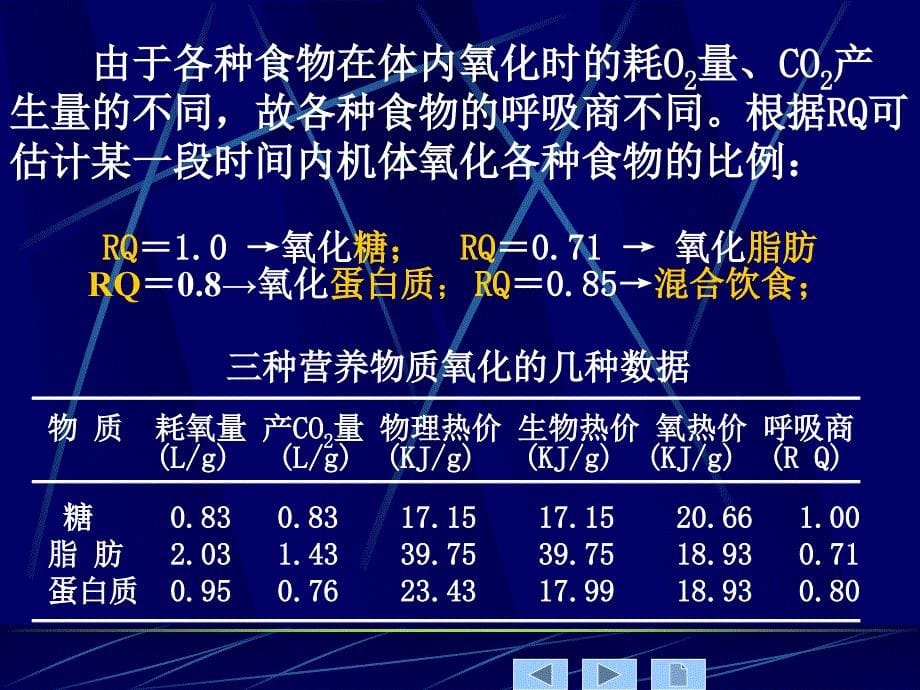 生理学教学课件：第七章 能量代谢与体温_第5页