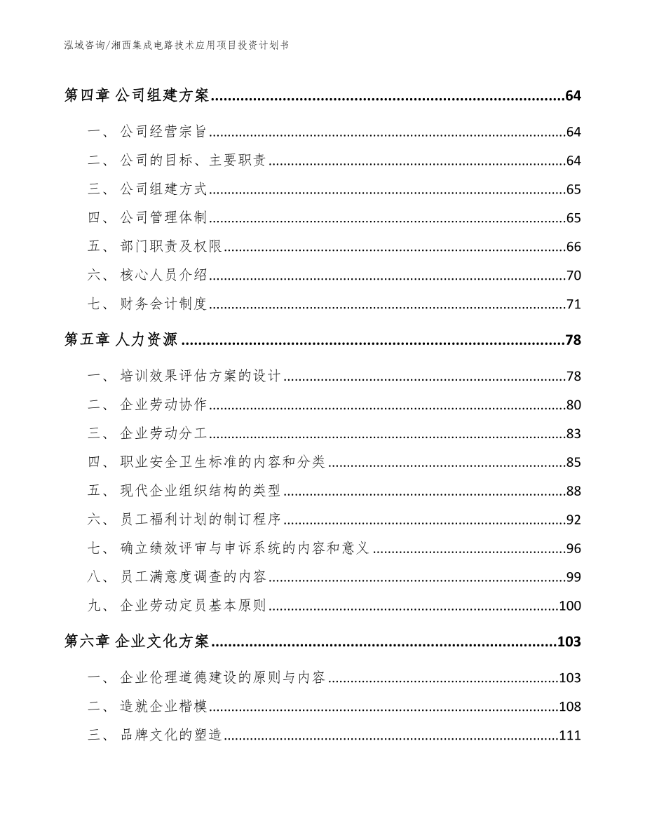 湘西集成电路技术应用项目投资计划书模板_第2页