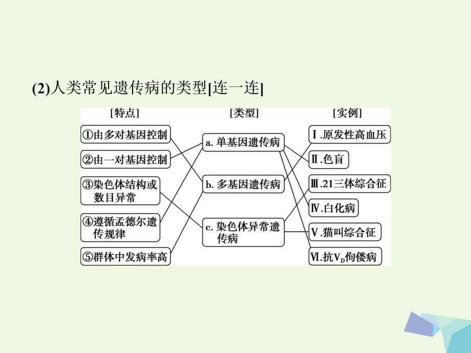 全国2018版高考生物大一轮复习第五单元遗传的基本规律与伴性遗传第21讲人类遗传参件_第4页