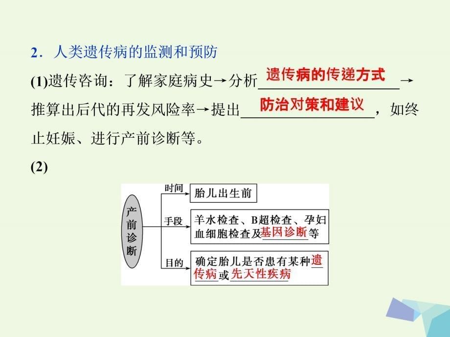 全国2018版高考生物大一轮复习第五单元遗传的基本规律与伴性遗传第21讲人类遗传参件_第5页