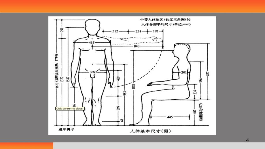 人体工程学人体测量数据及应用.PPT_第4页