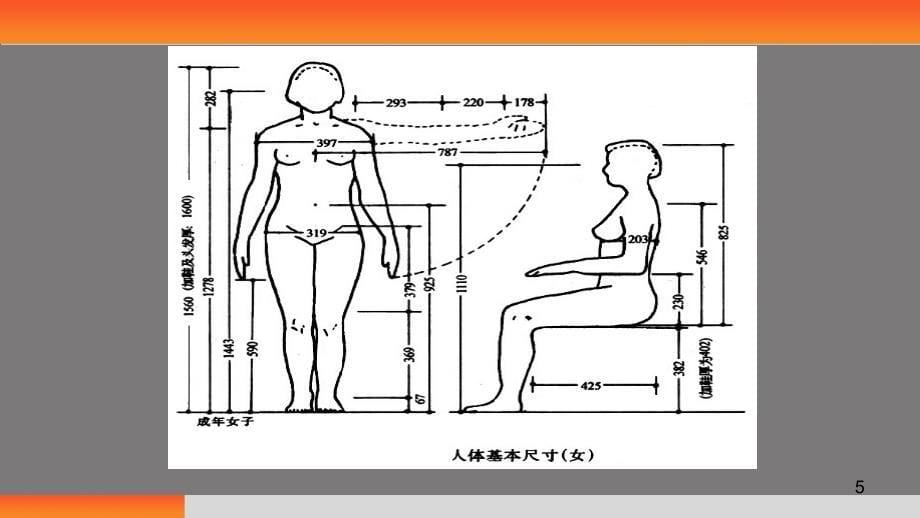 人体工程学人体测量数据及应用.PPT_第5页