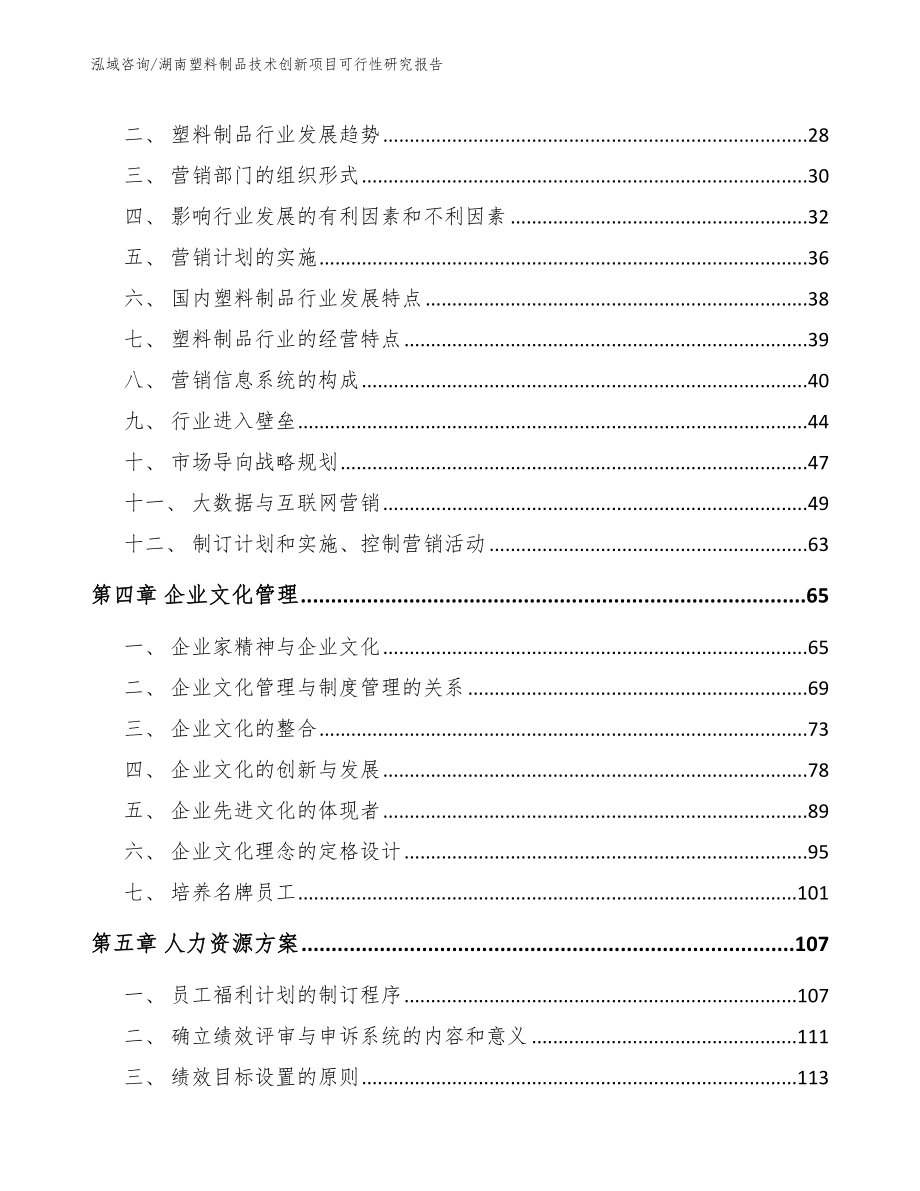 湖南塑料制品技术创新项目可行性研究报告（参考范文）_第3页