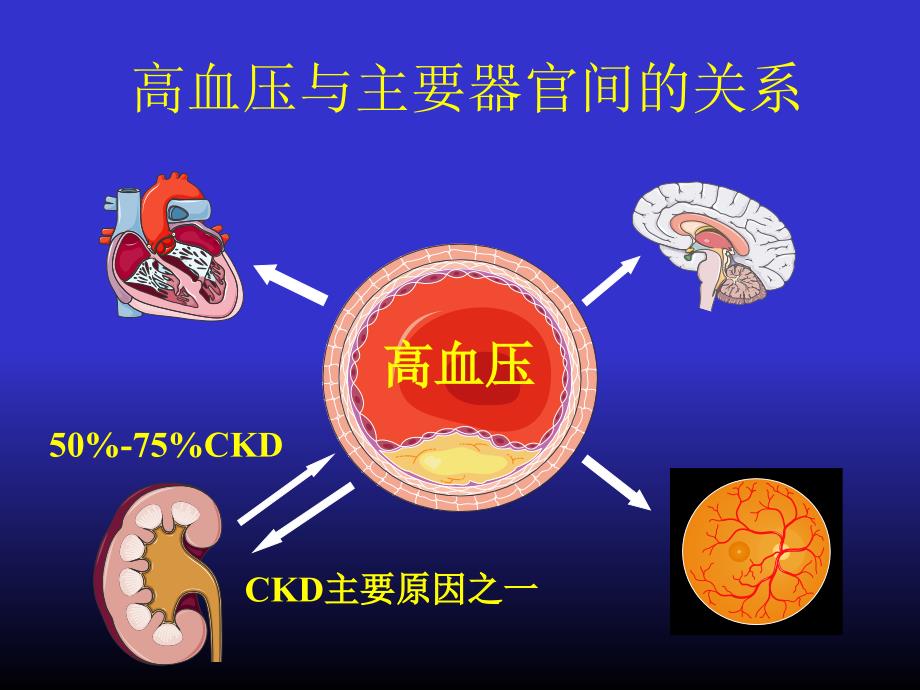 高血压合并肾损害的处理_第3页