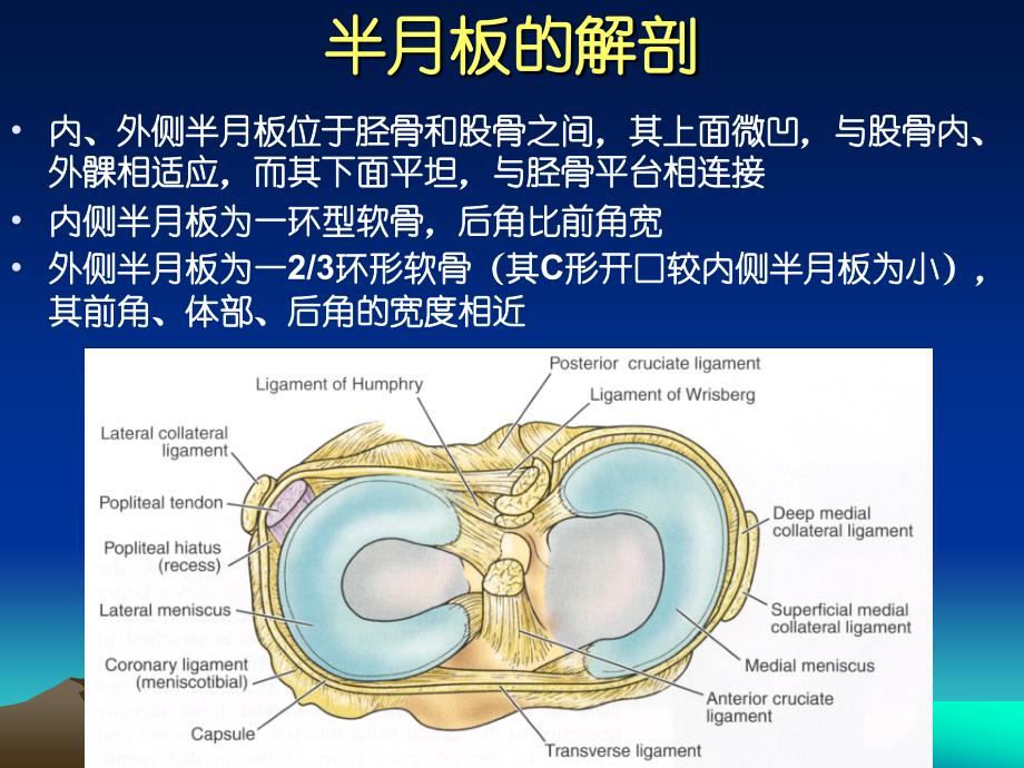 半月板损伤标准PPT课件_第2页