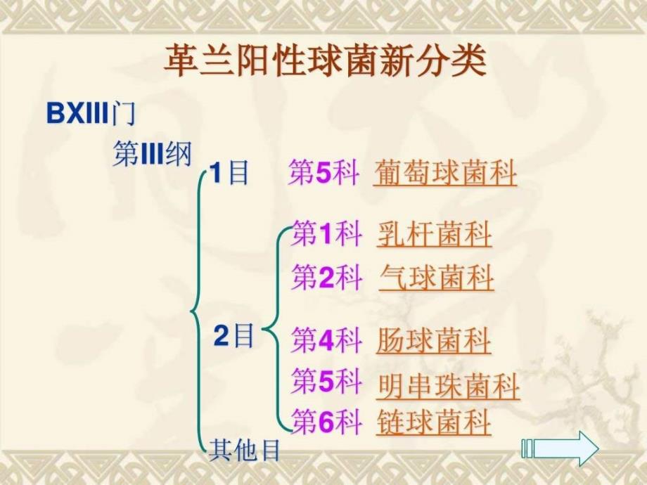 革兰阳性菌分类生学特性及鉴定_第4页