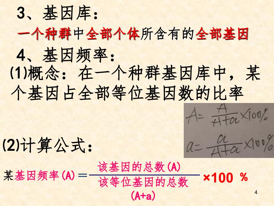 现代生物进化理论的主要内容PPT精品文档_第4页