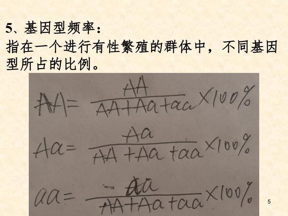 现代生物进化理论的主要内容PPT精品文档_第5页