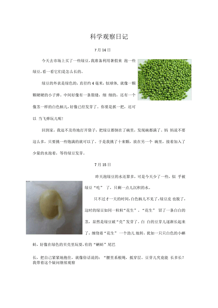 科学观察日记_第1页