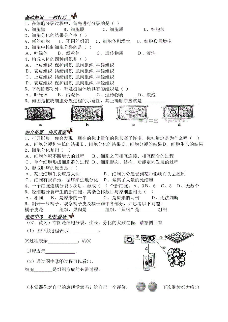 七年级生物上册 1.2.3 细胞的分裂与分化导学案（无答案） 济南版_第2页