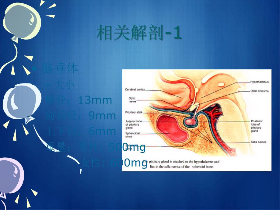 垂体腺瘤的治疗与护理_第4页