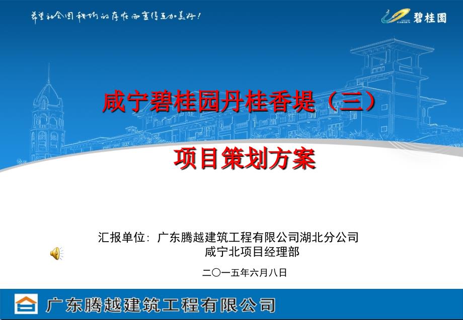 咸宁碧桂园丹桂香堤三工程项目策划方案2015.6.7（79P）PPT_第1页