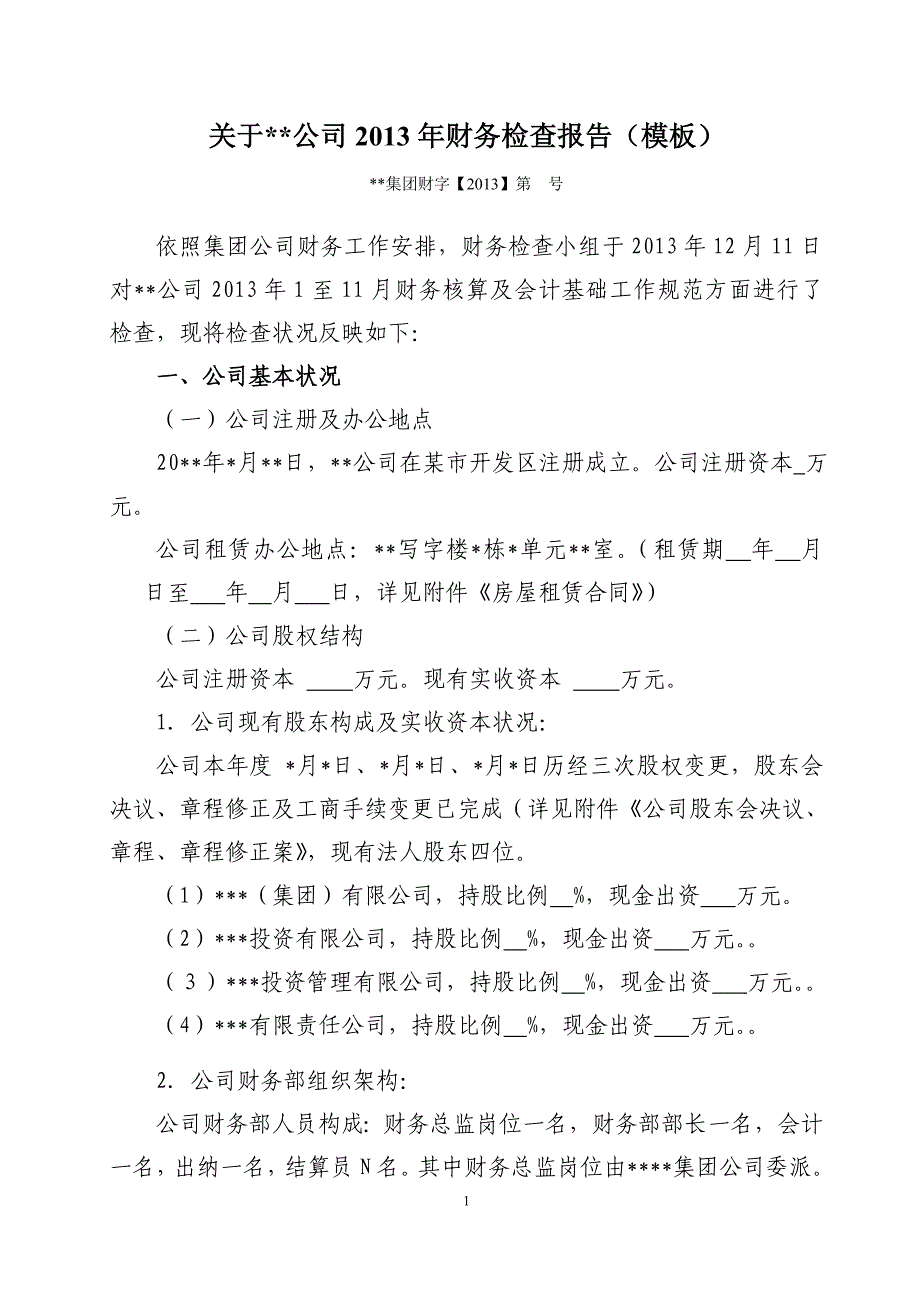 集团财务对某公司2013年度财务检查报告(最新模板)_第1页