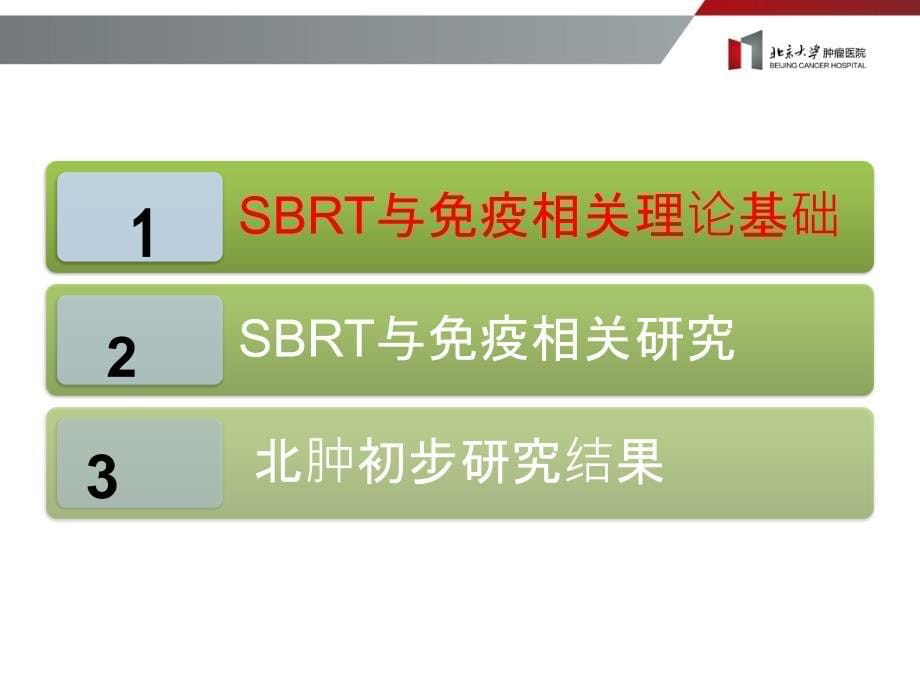 肺癌sbrt与免疫相关进展ppt课件_第5页