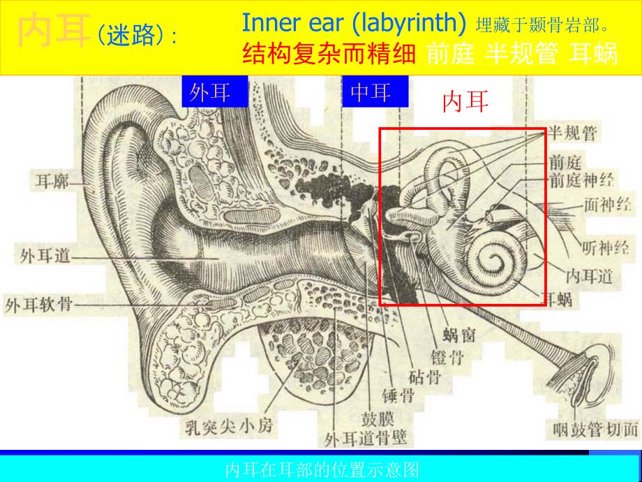 耳聋和梅尼埃_第3页