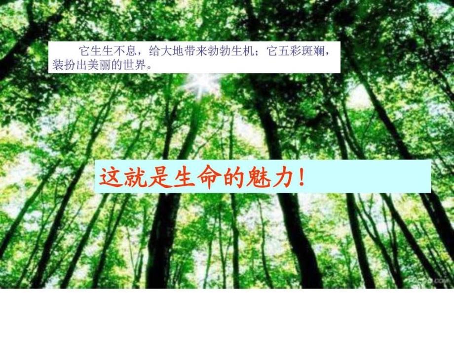 美丽的生命人教版品德与社会四年级上册精品课....ppt_第3页