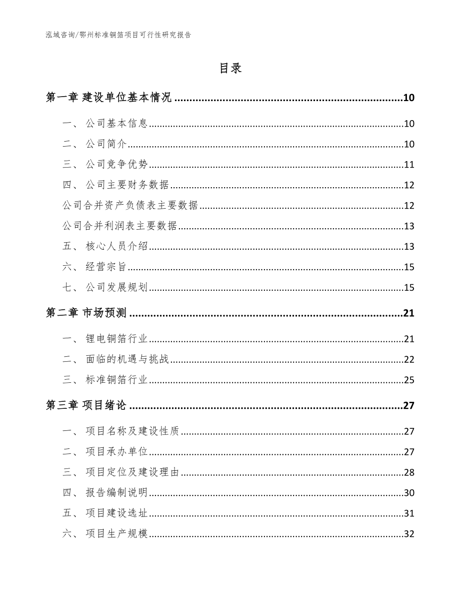 鄂州标准铜箔项目可行性研究报告【范文】_第2页