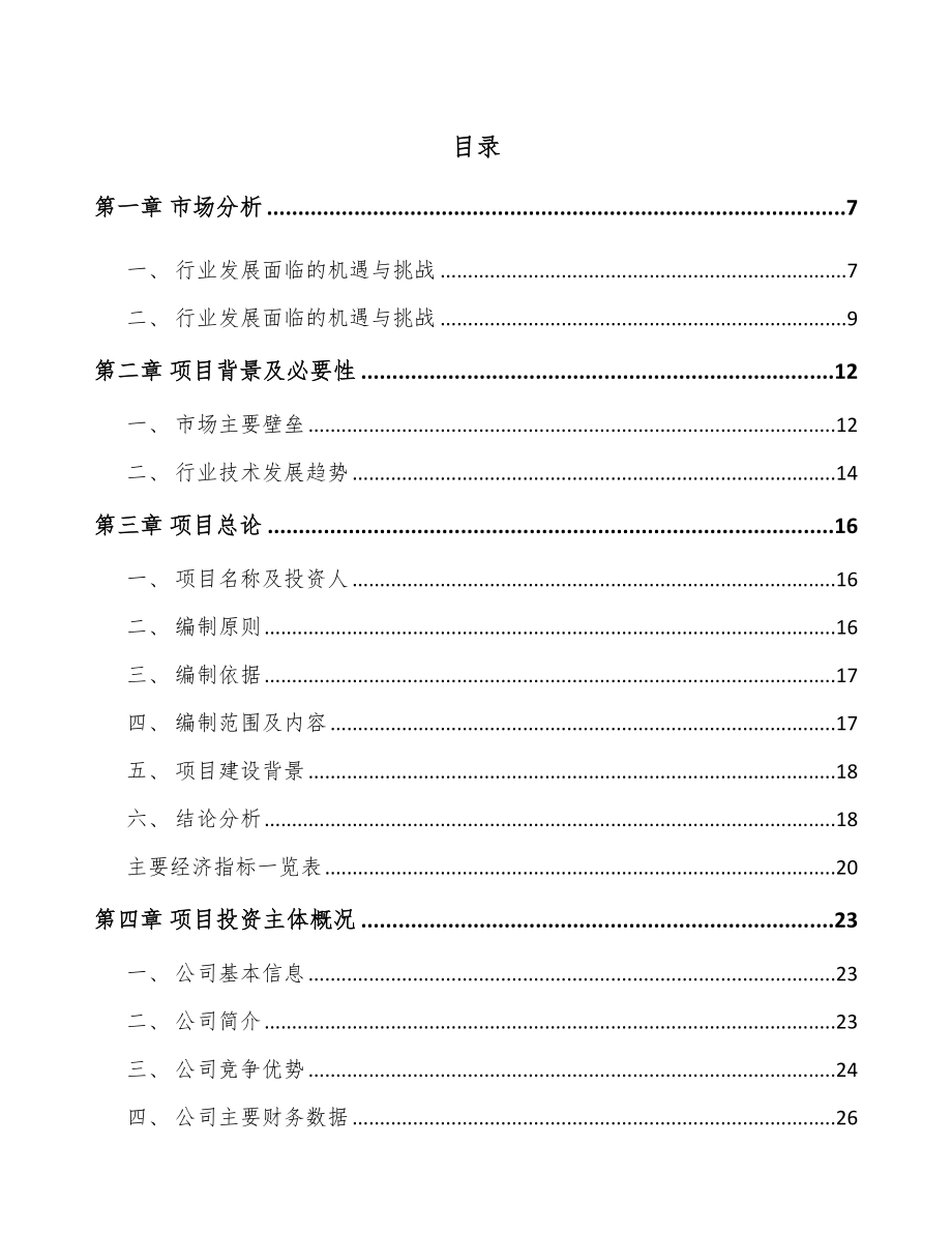 山东工业软包装膜项目可行性研究报告_第1页