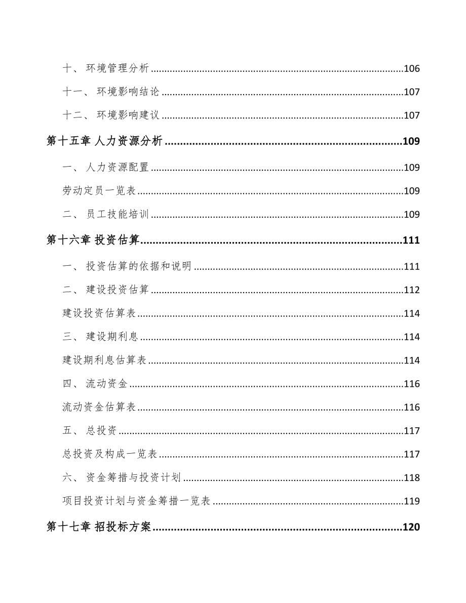 山东工业软包装膜项目可行性研究报告_第5页