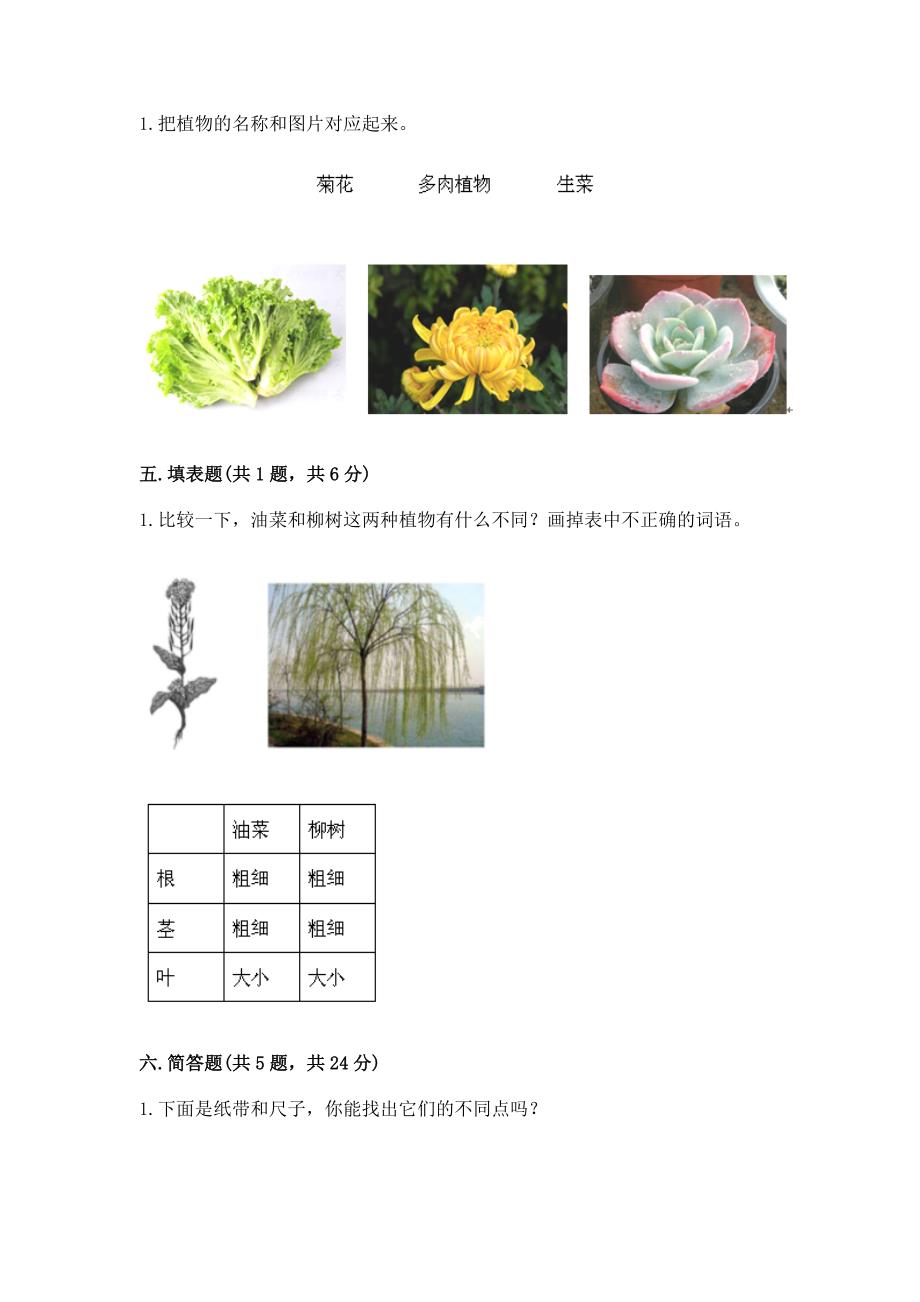 教科版一年级上册科学期末测试卷带答案下载.docx_第4页