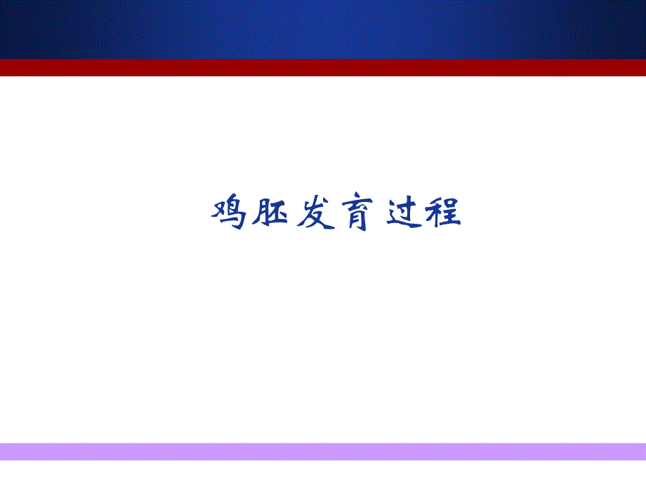 鸡胚发育过程_第1页