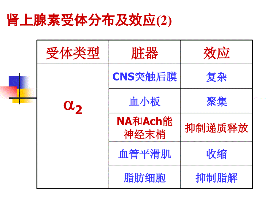 药理学课件：肾上腺素受体激动药_第3页