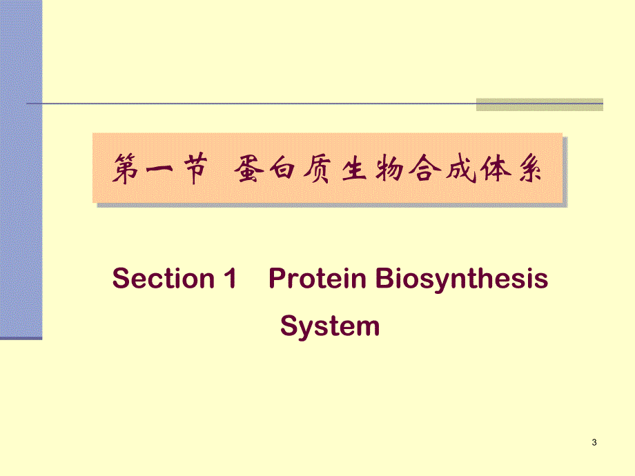 蛋白质的生物合成翻译12translation_第3页