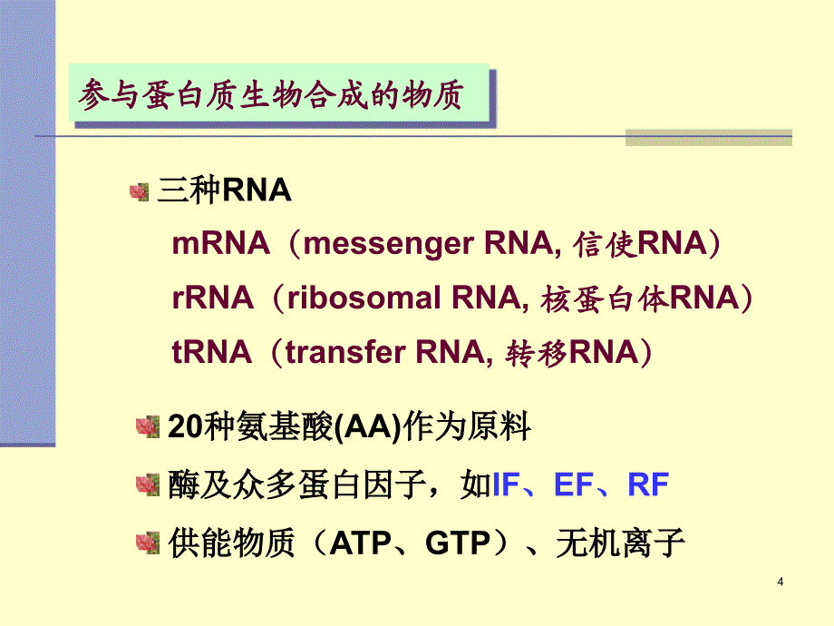 蛋白质的生物合成翻译12translation_第4页