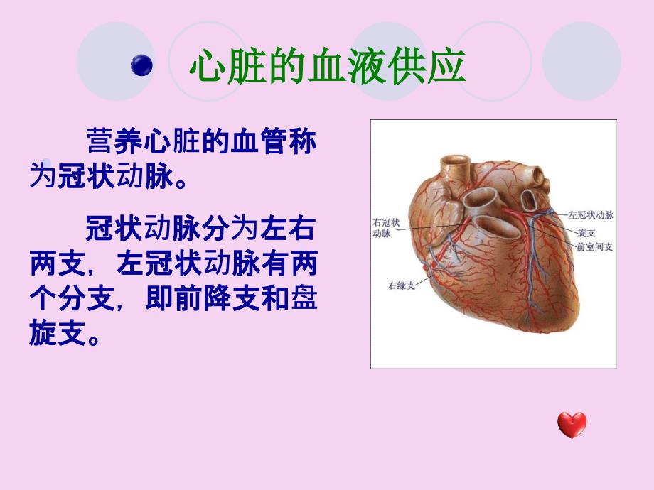 冠心病及介入治疗的护理教学ppt课件_第3页