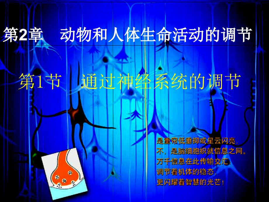 通过神经系统的调节.ppt_第3页