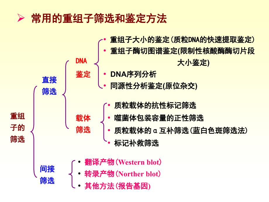 第六章重组体的筛选与鉴定.ppt_第4页