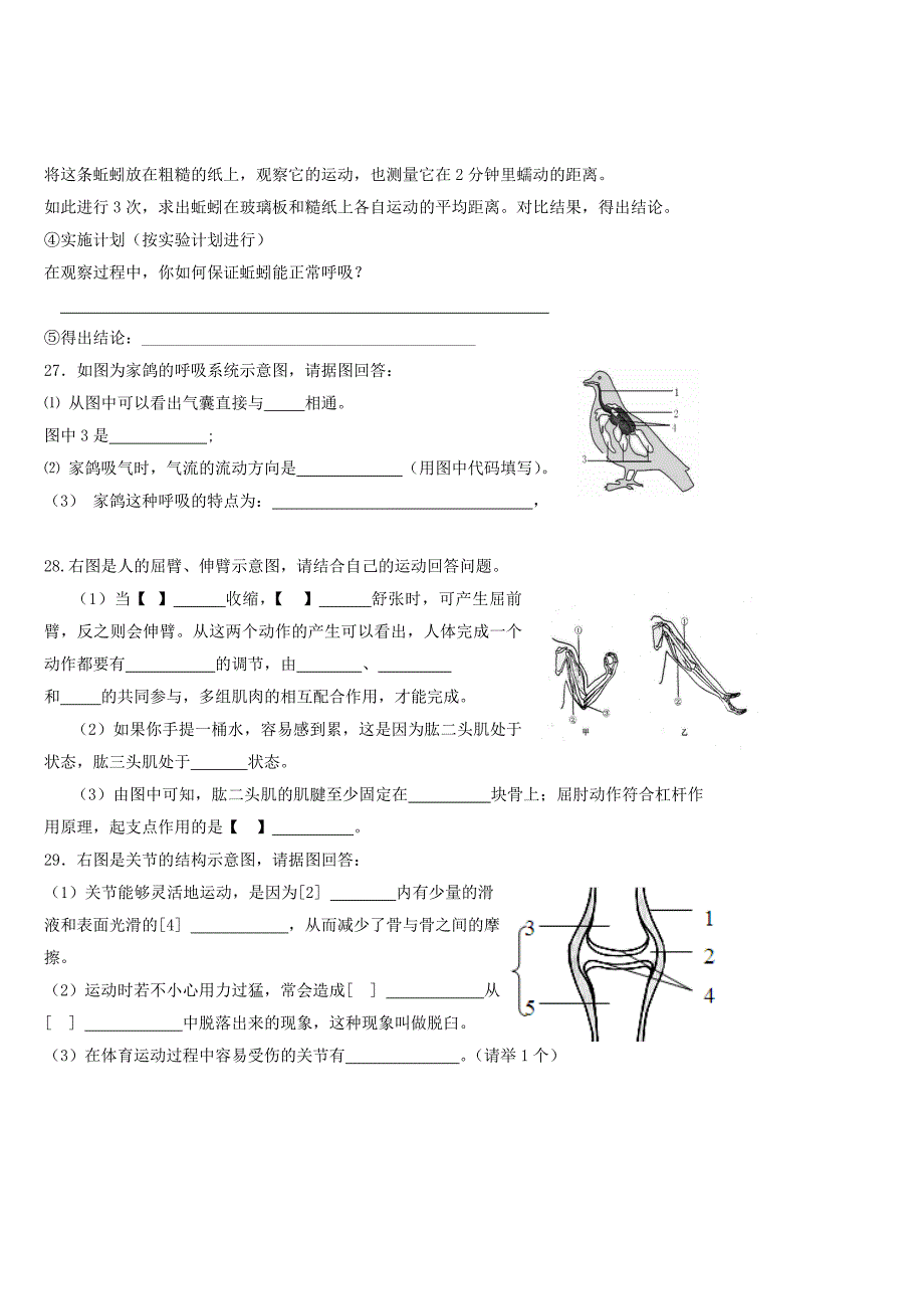 2014年秋季期中考试八年级生物试题.doc_第4页