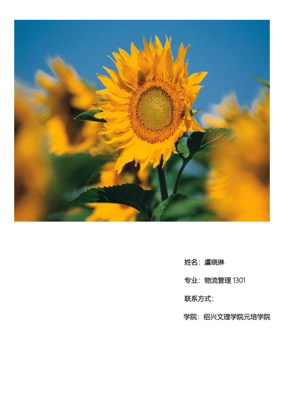 物流管理专业职业生涯规划参考(共21页)_第1页