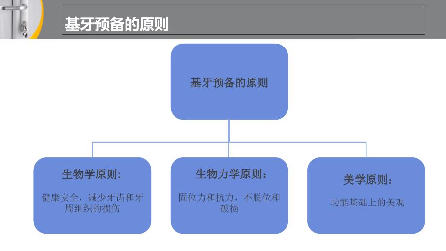 全冠的牙体预备_第3页