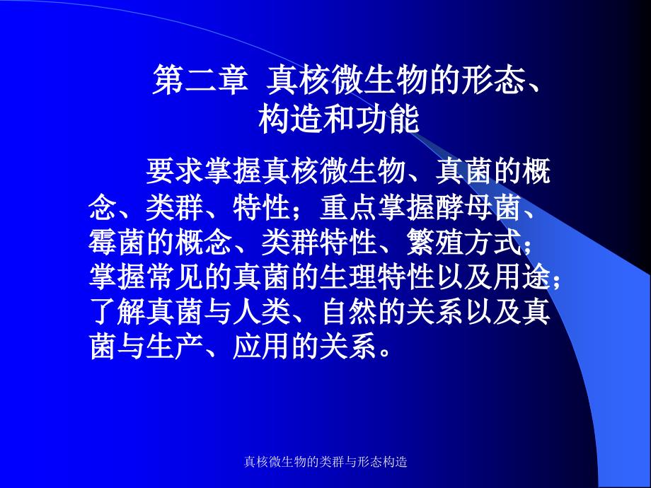 真核微生物的类群与形态构造课件_第1页