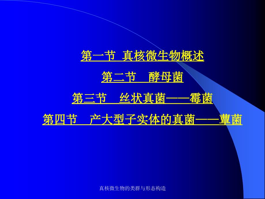 真核微生物的类群与形态构造课件_第2页