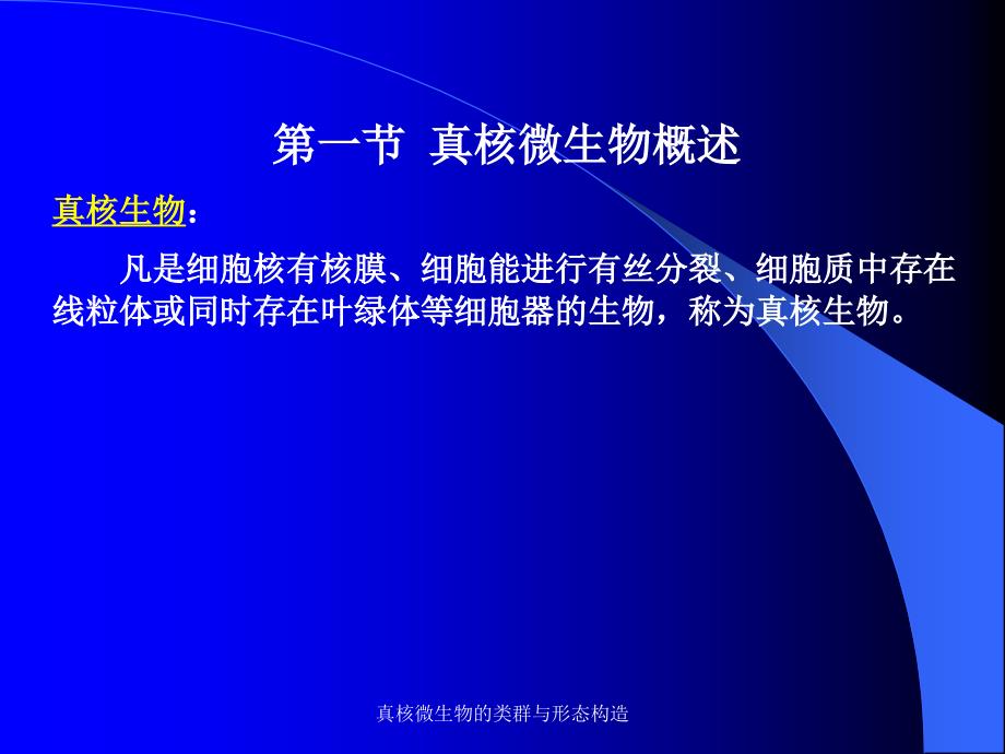 真核微生物的类群与形态构造课件_第3页