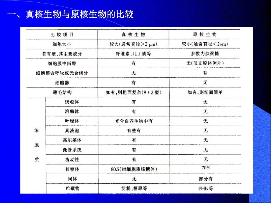 真核微生物的类群与形态构造课件_第4页